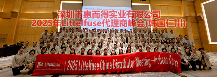 2025年力特代理商全球峰会（韩国仁川）留影